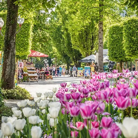 Villa Rein Boutiquehotel 4* Bad Reichenhall